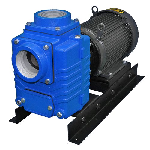 3 Phase Curve B 1-1/4 NPT Female Suction & Discharge Ports AMT Pump 285P-95 Self-Priming Centrifugal Pump 230/460V 3/4 HP Cast Iron 