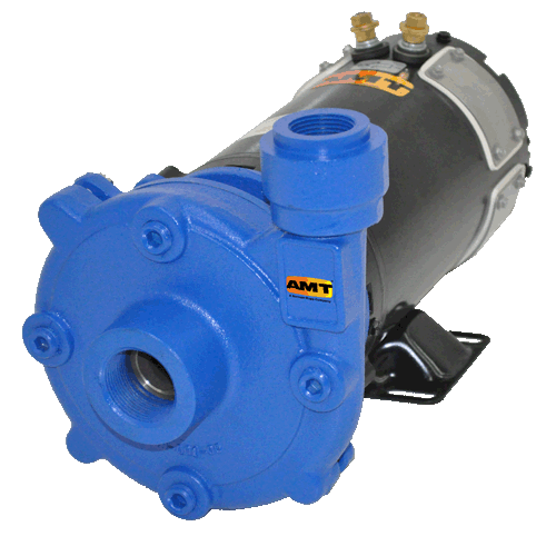 1/3 HP 1 Phase AMT Pump 2851-95 Self-Priming Centrifugal Pump Cast Iron Curve A 1 NPT Female Suction & Discharge Ports 115/230 V 